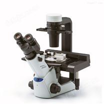奥林巴斯研究级倒置显微镜CKX53