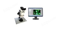 MBM-1600四球磨斑显微镜